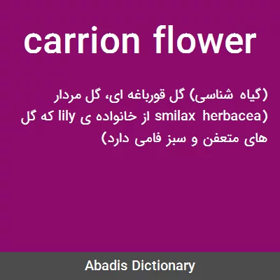 معنی carrion flower